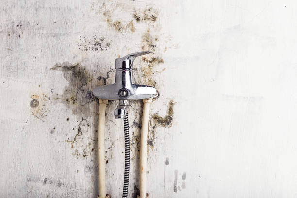 Best Water Damage Restoration  in East Pasadena, CA