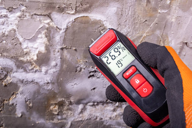 Best Local Mold Removal Service  in East Pasadena, CA
