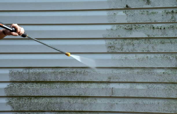 Professional Mold Removal in East Pasadena, CA
