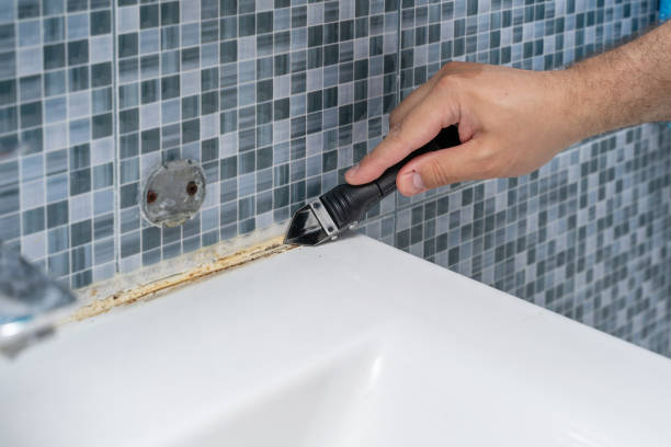 Best Certified Mold Removal  in East Pasadena, CA