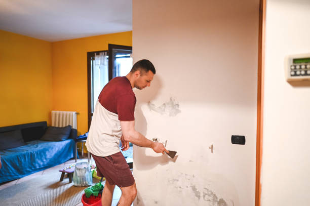 Crawl Space Mold Removal in East Pasadena, CA