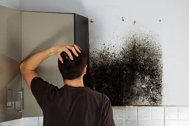 Best Crawl Space Mold Removal  in East Pasadena, CA